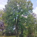 Boarding House Lucija Мини-отель *