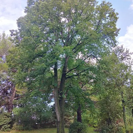 Boarding House Lucija Kro *