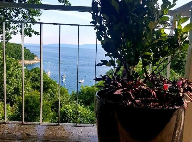 Inn Boarding House Lucija